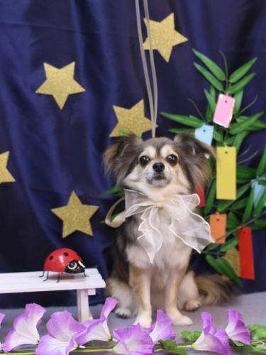 20230702あもちゃん